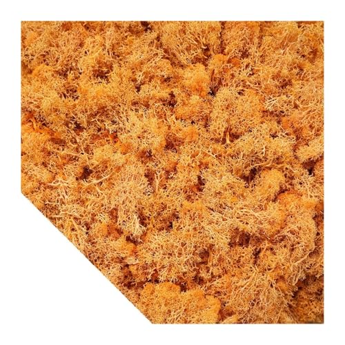 Künstliche grüne Pflanzen, Moos, Gras, Mini-Landschaft, DIY, Kunsthandwerk, Leben, künstliches Gras for Garten, Zuhause, Hotel, Dekoration, 500/1000/100 g(Orange,500g) von IRFHDCX