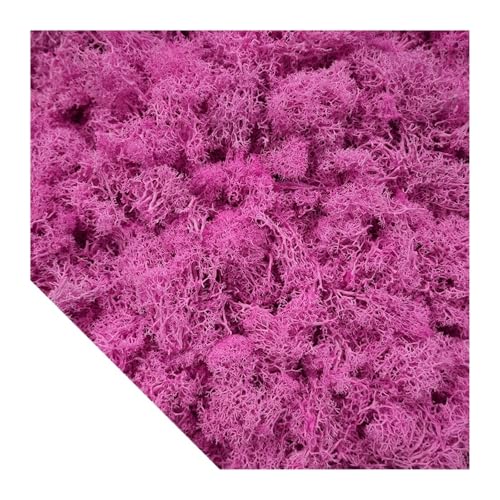 Künstliche grüne Pflanzen, Moos, Gras, Mini-Landschaft, DIY, Kunsthandwerk, Leben, künstliches Gras for Garten, Zuhause, Hotel, Dekoration, 500/1000/100 g(Pink,100g) von IRFHDCX