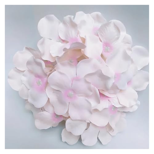 IRGVJIFR Hortensien Kunstblumen 10 Teile/los Bunte Dekorative Blume Kopf Künstliche Seide Hortensien DIY Home Party Hochzeit Arch Hintergrund Wand Dekorative Flowe(Champagne 5) von IRGVJIFR