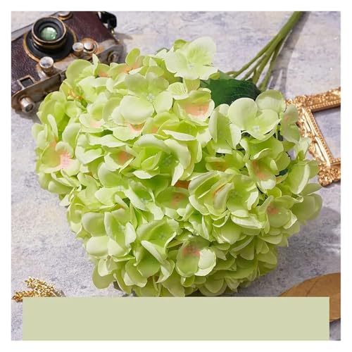 IRGVJIFR Hortensien Kunstblumen 5 Köpfe Künstliche Hortensien Wohnkultur Seide Hochzeit Brautstrauß Simulierte Hochzeit Blumenarrangement Dekorative Gefälschte Blumen(Green) von IRGVJIFR
