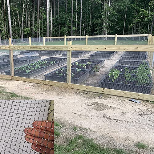 IRHIGBGX Wire Mesh Woven Drahtgitter, Draht-Aviary-Zaun-Hardware-Tuch Für Hühnerstall Kaninchen-Garten-Fruchtkäfig-Tier,Wühlmausgitter Volierendraht,1 * 1m(1x6m/3.2 * 19.6ft) von IRHIGBGX