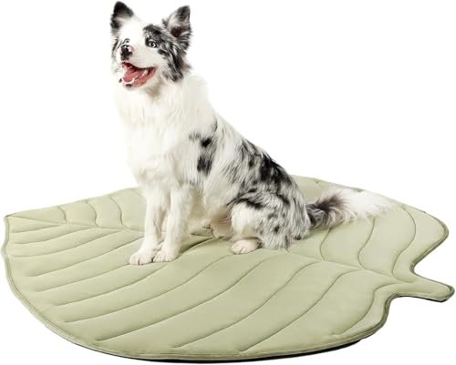 IRIRI Kühlmatte for Haustiere for Katzen und Hunde – 2-in-1-Wendeunterlage in Blattform, Ganzjährig Verwendbar, Waschbar for Boden/Sofa/Auto/Haustierbett, Größen for Kleine Bis Große Haustiere(Green,L von IRIRI