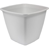 Blumentopf Quadratischer Übertopf mit Wasserablauf/Reservierungssystem für die Gartenarbeit – Quadratischer Blumentopf 360, Weiß - Iris Ohyama Blumentopf Quadratischer Übertopf mit Wasserablauf/Reservierungssystem für die Gartenarbeit – Quadratischer Blumentopf 360, Weiß - Iris Ohyama von IRIS OHYAMA