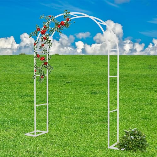 Pergola Laube aus Metall für den Außenbereich Blumengarten-Bogen Spalier Rosenbogen für Kletterpflanzen robust langlebig Gartenbogen Rasen Party Zeremonie Hochzeitsdekoration Bogen mit Sockel(Color:Wh von IRUGS