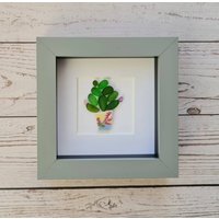 steinbild Kaktus, Einzigartiges Geschenk Für Nana, Seeglas Cactai Im Mini-Rahmen, Geburtstagsgeschenk Mama, Jubiläumsgeschenk Sie von IRockCrafts