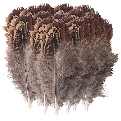 ISAKEN 100 Stück Fasanenfedern, 5-8cm Natural Fasan Federn Schwanzfedern Natur Dekoration Fasan Federn für Kostüme, Hüte, Zuhause Dekor, Ostereier Party Schmuckstücke von ISAKEN