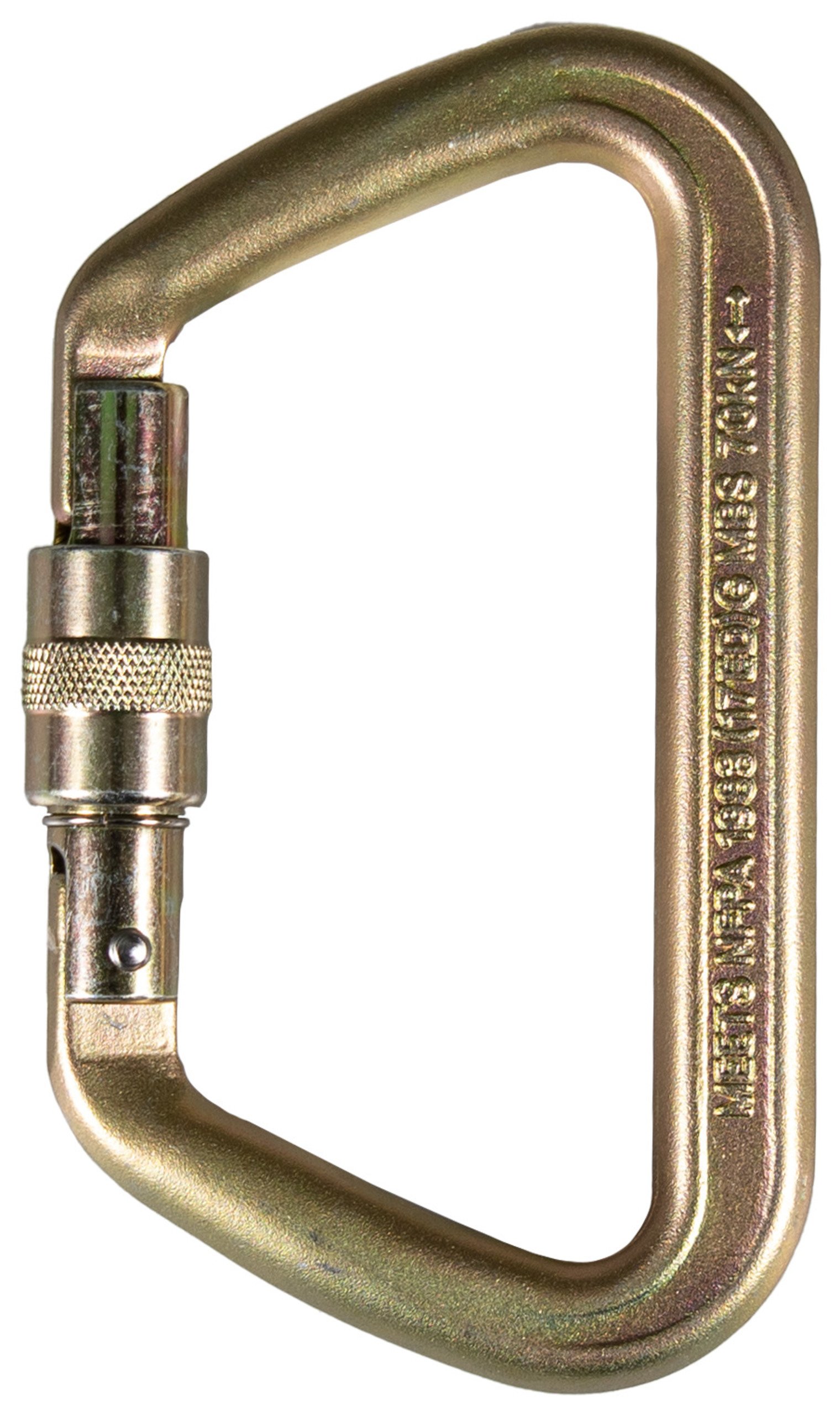 ISC Karabiner Iron Wizard Screwgate von ISC