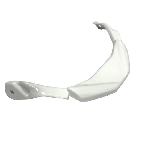 ISJRJF Motorrad Spoiler Passend für BMW S1000RR M1000RR 2019–2022, Front-Einlassgitter, Dekoration, Dekoration, Zubehör(Bright White) von ISJRJF