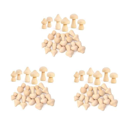 ISKDJBJG 54 StüCk Unfertige Pilze 6 GrößEn Von NatüRlichem Pilze für Kunst Projekte Dekoration von ISKDJBJG