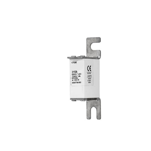 ISLWQOULE 170M1369 Schnelle Sicherung/Hochspannungssicherung 690v 160a von ISLWQOULE