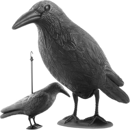 ISO TRADE Schwarzer Rabe Krähe Attrappe Taubenschreck Vogelschreck Schutz vor lästigen Vögeln 40cm 783 von ISO TRADE