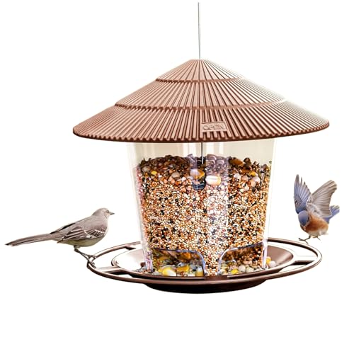 Hängende Vogelhäuschen, abnehmbare Ameise und Biene -Proof -Vogelfutterschale mit Hängenden Loch, Plastikfinken Bäder für Outdoors Garten Terrasse Dekorationshang von ISOYTERO