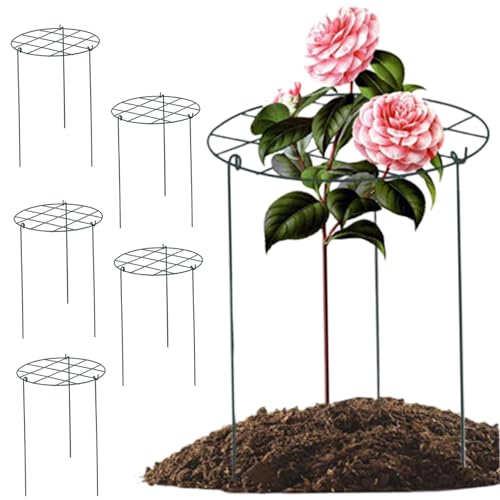 ISOYTERO Pfingstrosenkäfige und Unterstützung 6PCs Pfingstrose Unterstützung 12x18 ISOYTERO Pfingstrosenkäfige und Unterstützung 6PCs Pfingstrose Unterstützung 12x18 von ISOYTERO