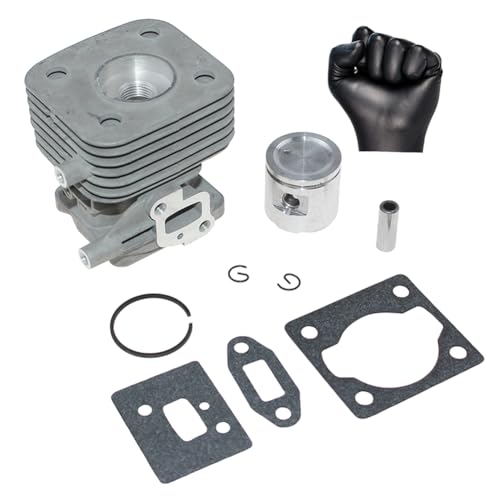 ISSICOO Zylinderkolben-Set 6696527 für Metabo HPT Hitachi CG22EADSLP CG22EASSLP CG22EABSLP CG22EAB CG22EAD CG22EAS Tanaka TCG-22EAB TCG-22EAS Rasentrimmer Freischneider von ISSICOO