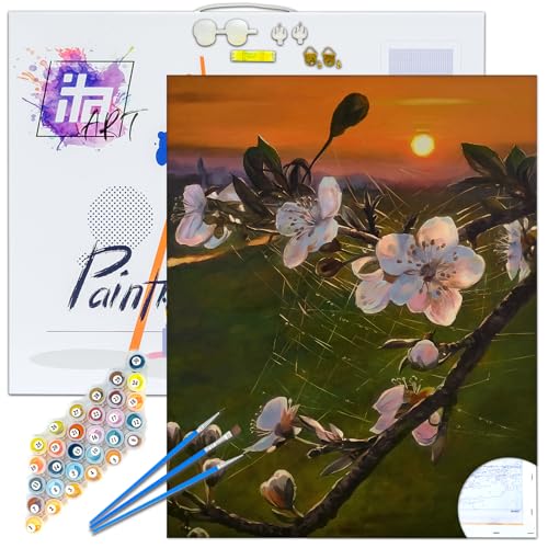 ITA Art Malen nach Zahlen Komplett Set mit Keilrahmen, Acrylfarben, Pinseln, Zubehör, Geschenkbox - DIY Gemälde Bastelset Kit mit Leinwand für Erwachsene, 40x50 cm, Frühlingsstimmung 2 von ITA