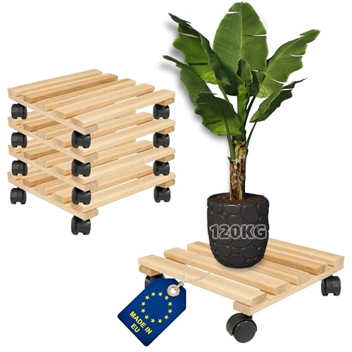 ITA Pflanzenroller Eckig 30x30 cm 5er Set Rolluntersetzer aus Buchenholz - Traglast 120 kg - Untersetzer aus Massivholz für Pflanztöpfe, Möbel - Indoor & Outdoor - Made in EU ITA Pflanzenroller Eckig 30x30 cm 5er Set Rolluntersetzer aus Buchenholz - Traglast 120 kg - Untersetzer aus Massivholz für Pflanztöpfe, Möbel - Indoor & Outdoor - Made in EU von ITA