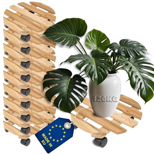 ITA Pflanzenroller Rund Ø 30 cm 10er Set Rolluntersetzer aus Buchenholz - Traglast 120 kg - Untersetzer aus Massivholz für Pflanztöpfe, Möbel - Indoor & Outdoor - Made in EU ITA Pflanzenroller Rund Ø 30 cm 10er Set Rolluntersetzer aus Buchenholz - Traglast 120 kg - Untersetzer aus Massivholz für Pflanztöpfe, Möbel - Indoor & Outdoor - Made in EU von ITA