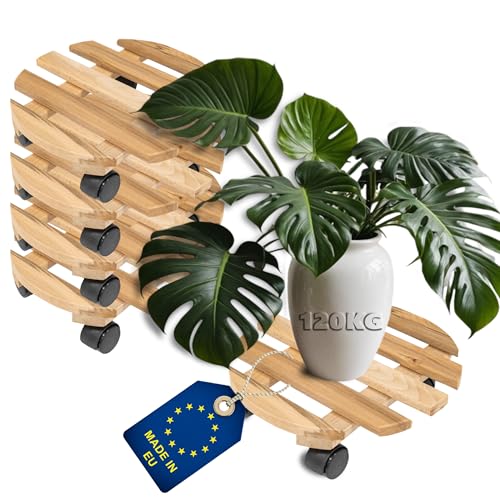 ITA Pflanzenroller Rund Ø 30 cm 5er Set Rolluntersetzer aus Buchenholz - Traglast 120 kg - Untersetzer aus Massivholz für Pflanztöpfe, Möbel - Indoor & Outdoor - Made in EU ITA Pflanzenroller Rund Ø 30 cm 5er Set Rolluntersetzer aus Buchenholz - Traglast 120 kg - Untersetzer aus Massivholz für Pflanztöpfe, Möbel - Indoor & Outdoor - Made in EU von ITA