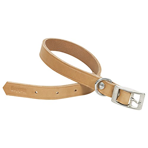 CHAPUIS SELLERIE SLA623 Hundehalsband - Leder, Natur - Breite 30 mm - Länge 60 cm - Größe L CHAPUIS SELLERIE SLA623 Hundehalsband - Leder, Natur - Breite 30 mm - Länge 60 cm - Größe L von ITAL DOG