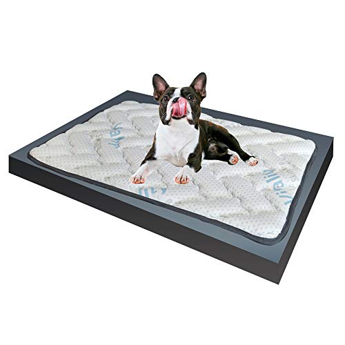 Memory-Schaumstoff-Matte für kleine Hunde, mit elastischer Visco-Füllung, passt sich den Körperformen und Gewichten an, Hundebett aus antiallergenem Stoff, 65 x 85 cm von ITALYMATERASSI