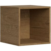 Offenes Wandelement L.40 H.40 T.39,2 Natureiche von ITAMOBY