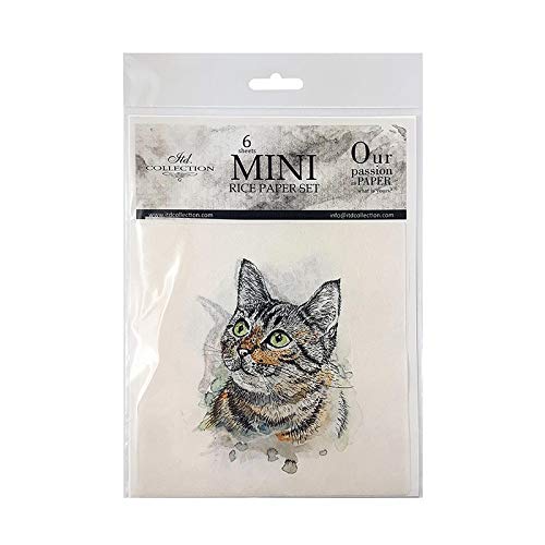 ITD Collection - Mini Reispapier Kreatives Set 14,8 x 14,8 cm (6 Blätter), Decoupage Reispapiere für Basteln, Papier zum Dekoration, Mehrfarbig (RSM006) ITD Collection - Mini Reispapier Kreatives Set 14,8 x 14,8 cm (6 Blätter), Decoupage Reispapiere für Basteln, Papier zum Dekoration, Mehrfarbig (RSM006) von ITD Collection