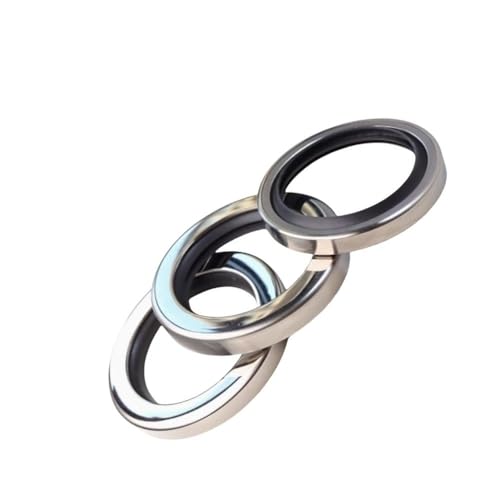 1 Stück PTFE-Öldichtung aus Edelstahl mit Doppellippe – Hochtemperaturbeständiger Dichtungsring for Gaskompressoren und Maschinen(60x80x8) von ITITI