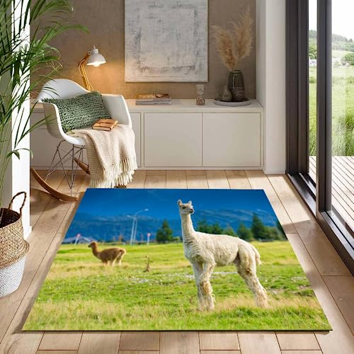 ITOMEN Kurzflor Teppich 3D Alpaka Teppich Matten rutschfeste FußMatte Süße Tiere Muster Kinder Spielteppiche FüR Schlafzimmer Flur Wohnzimmer Boden Teppich 80x120 cm von ITOMEN