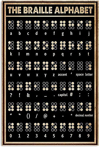 Blechschild, Plakat, Blindenschrift, Alphabet, Aluminium, Wandkunst, Dekoration, Badezimmerschild für Restaurant, Badezimmer, Küche, 30 x 20 cm von IUBBKI