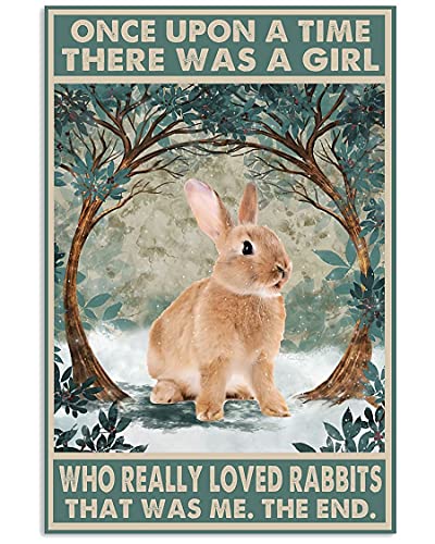 Blechschild mit Aufschrift "Once upon a time there was a girl who really loved Rabbit That was me", Vintage-Bar-Mann-Höhle, Garage, Küche, Zuhause, Wanddekoration, Kunstschild, 20,3 x 30,5 cm von IUBBKI