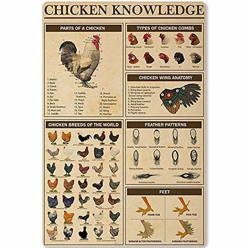 Chicken Knowledge Blechschild aus Metall, Hühnerrassen der Welt, Infografik, Retro-Poster, Plakette für Club, Café, Bar, Zuhause, Küche, Wanddekoration, 20,3 x 30,5 cm von IUBBKI