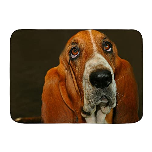 Fußmatte Basset Hound Lookup 40 x 60 cm Eingangsteppich waschbar weich Willkommensmatte für Innentür von IUBBKI