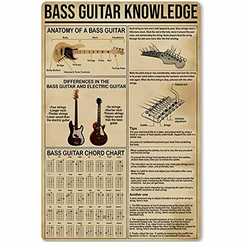 IUBBKI Anatomy of a Bass Guitar Metallblechschild The Notes On The Bass Music Basics Infografik Poster Plaque Home Kitchen Club School Cafe Wanddekoration 20,3 x 30,5 cm von IUBBKI