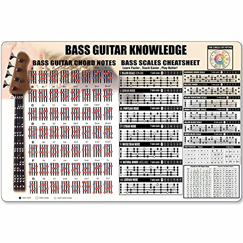 IUBBKI Bass Guitar Knowledge Metallblechschild The Notes On The Bass Music Basics Infografik Poster Plaque Home Kitchen Club School Cafe Wanddekoration 20,3 x 30,5 cm von IUBBKI