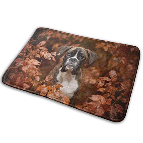 IUBBKI Fußmatte für Boxer, Hunde, Herbst, Natur, Fußmatte, Eingangsmatte, Bodenmatte, Teppich für drinnen und draußen, Haustür, Badezimmer, 40 x 60 cm von IUBBKI