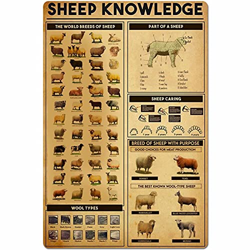 IUBBKI Sheep Knowledge Sheep Knowledge Metallblechschild The World Breeds of Sheep Dart of A Sheep Unplaning Poster Retro Farm Home Kitchen Restaurant Club Home Wall Decoration 12x16ines IUBBKI Sheep Knowledge Sheep Knowledge Metallblechschild The World Breeds of Sheep Dart of A Sheep Unplaning Poster Retro Farm Home Kitchen Restaurant Club Home Wall Decoration 12x16ines von IUBBKI