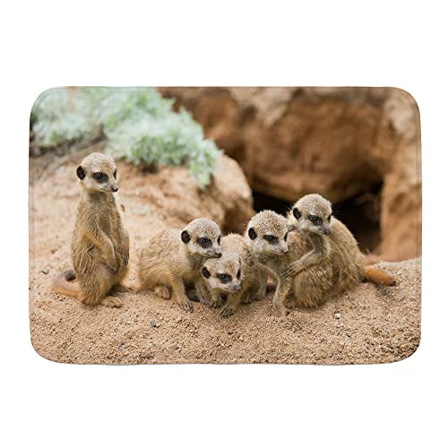 IUBBKI Welcome Mats Gummi Schmutzfangmatte Tier Wildtier Erdmännchen in der Prärie Höhle Fußmatte für Eingang Flur Terrasse 40 x 60 cm von IUBBKI