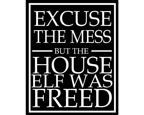 Metallschild mit Aufschrift "Excuse The Mess But The House Elf was Freed", Vintage-Retro-Poster, 20,3 x 30,5 cm von IUBBKI