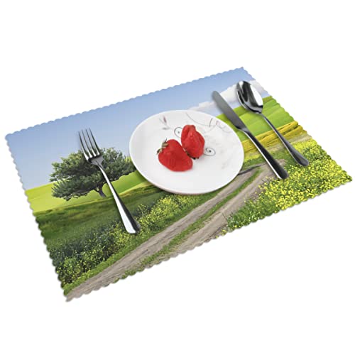 Platzdeckchen für Feld und Gras, 6 Stück, Frühling, Sommer, Landschaft, Tischsets für Küche, Esstisch, 45 x 30 cm von IUBBKI