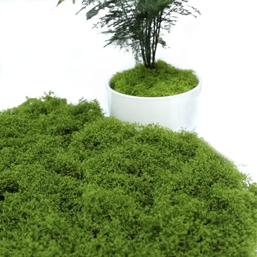 110g Moos Zum Basteln Deko, Kunstmoos,KüNstliches Fliegenpilz,Islandmoos,Krippe Terrarium,Moss kaufen Bastelmoos Natur,Dekorieren,Kunst Fake Dekomoos für Wand Krippen Aquarium Modellbau,Moosplatten von IUHRIE