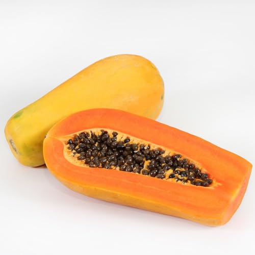 2000 Samen -Papaya- (Melonenbaum) Kältebeständig von IUIUNIGA