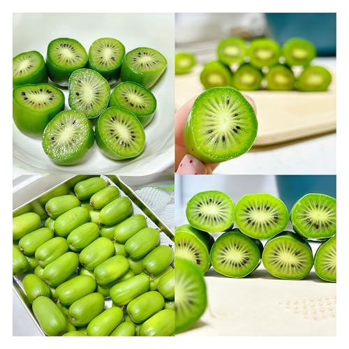 IUIUNIGA 100 Hochwertige, Weichsamige Kiwisamen, Geeignet Für Balkon, Hof Und Gemüsegarten. Sie Sind Prall Und Keimen Leicht. Nach Dem Einpflanzen Schmecken Sie Von Natur Aus Süß-Säuerlich, Haben Ein von IUIUNIGA