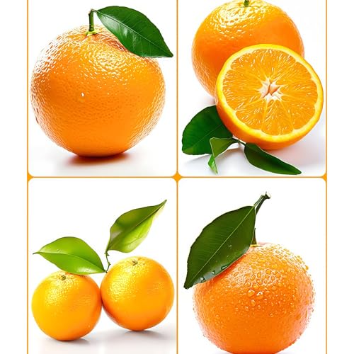 IUIUNIGA 100 Hochwertige Orangensamen, Geeignet Für Die Bepflanzung Von Gärten, Obstgärten Und Als Zierpflanzen In Töpfen, Mit Hoher Keimrate, Starker Anpassungsfähigkeit Und Reichem, Süßem Fruchtges IUIUNIGA 100 Hochwertige Orangensamen, Geeignet Für Die Bepflanzung Von Gärten, Obstgärten Und Als Zierpflanzen In Töpfen, Mit Hoher Keimrate, Starker Anpassungsfähigkeit Und Reichem, Süßem Fruchtges von IUIUNIGA