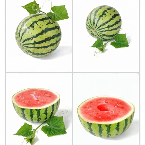 IUIUNIGA 100 Supersüße, Frühreifende Wassermelonensamen, Geeignet Für Balkon, Hof Und Freilandbepflanzung, Hohe Keimrate Und Pflegeleicht IUIUNIGA 100 Supersüße, Frühreifende Wassermelonensamen, Geeignet Für Balkon, Hof Und Freilandbepflanzung, Hohe Keimrate Und Pflegeleicht von IUIUNIGA