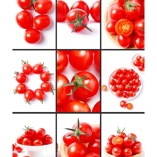 IUIUNIGA 150 Kirschtomatensamen, Mini-Kirschtomatensamen, Geeignet Für Balkonkübelpflanzen, Gartenbepflanzung, Gewächshausanbau, Starke Lichtbeständigkeit Und Anpassungsfähigkeit, Reich An Lycopin Un von IUIUNIGA