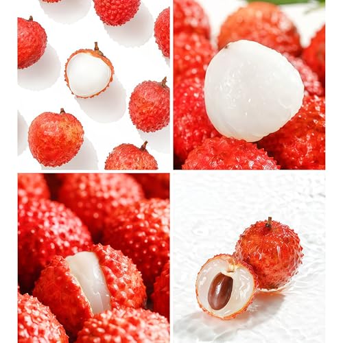 IUIUNIGA 50 Ausgewählte Litschisamen, Geeignet Für Die Aussaat Auf Balkon Und Garten, Leicht Zu Keimen Und Zu Pflegen, Mit Süß-Fruchtigem Aroma Warten Sie Auf Die Ernte von IUIUNIGA