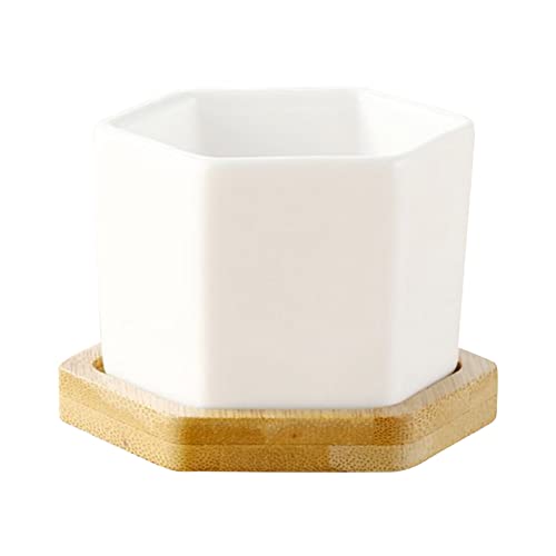 IUNSER Sukkulenten-Töpfe, weißer Mini-Keramik-Blumentopf mit Tablett, Pflanzen Nicht im Lieferumfang enthalten Zimmerpflanzen Echt (White, One Size) von IUNSER