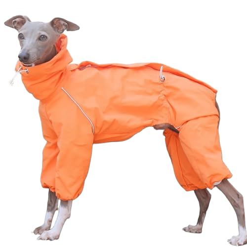 IUOUTG Italienische Greyhound wasserdichte Jacke, Winddichte Hundemantel Jumpsuit Mit Reißverschluss Leichte Vierbeinige Whippet Sweatshirt Kleidung Für Hunde IUOUTG Italienische Greyhound wasserdichte Jacke, Winddichte Hundemantel Jumpsuit Mit Reißverschluss Leichte Vierbeinige Whippet Sweatshirt Kleidung Für Hunde von IUOUTG