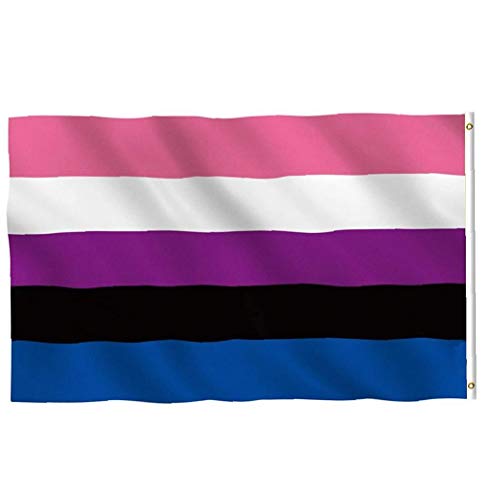 IUwnHceE Flagge Lesben Homosexuell Parade Genderfluid Polyester Flagge 90x150cm Stolz Flaggen-Party-Ereignis-Zubehör von IUwnHceE