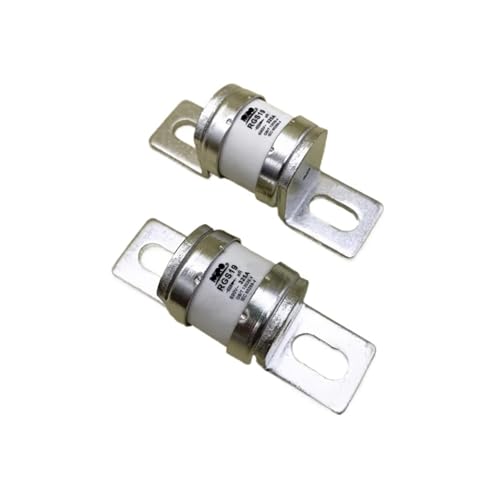 RGS19 690V-400A325A300A260A250A200A Sicherung(250A) von IVEKYKIBC